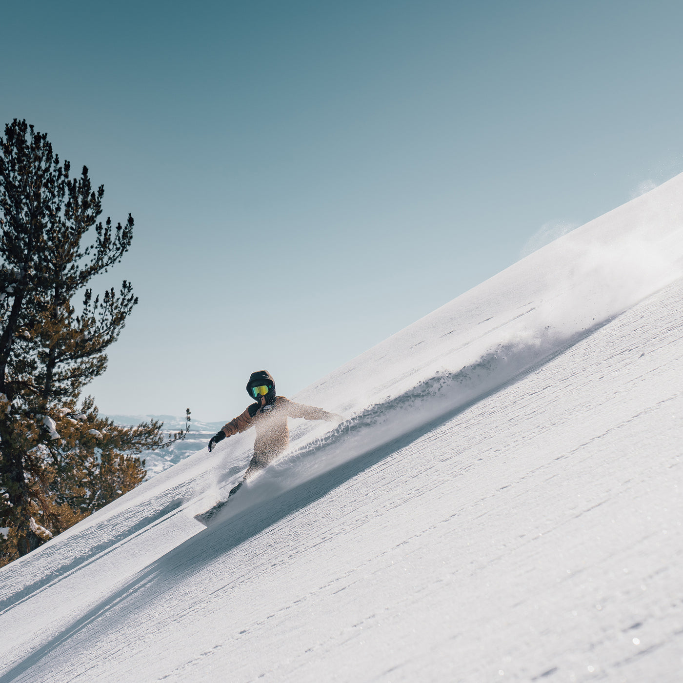 Arbor Satori Camber Snowboard | 2023